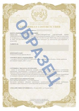 Образец Сертификат СТО 01.064.00220722.2-2020 Палласовка Сертификат СТО 01.064.00220722.2-2020 